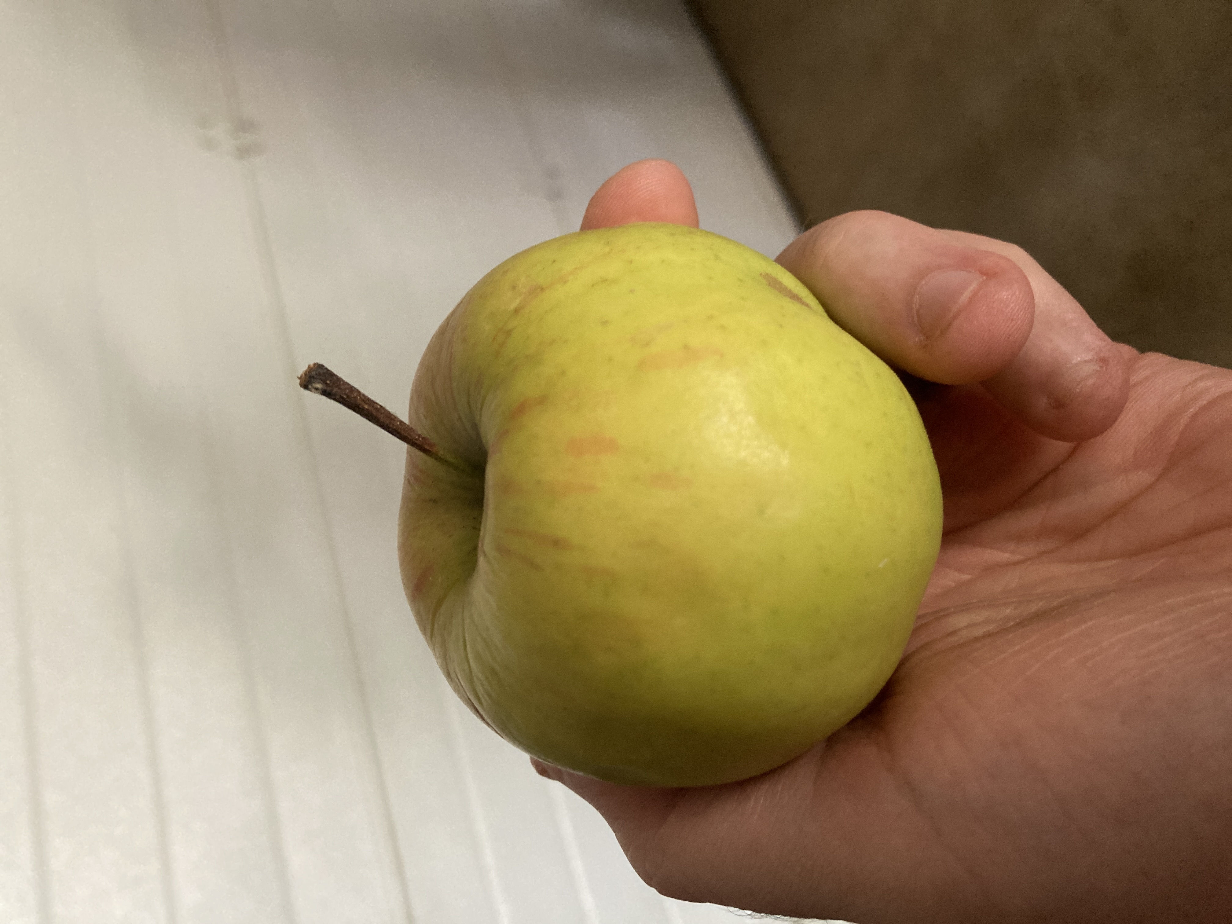 image de l'aliment Pomme